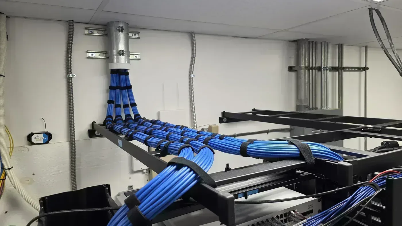 Cat6 cable organized on ladder rack in biological research facility
