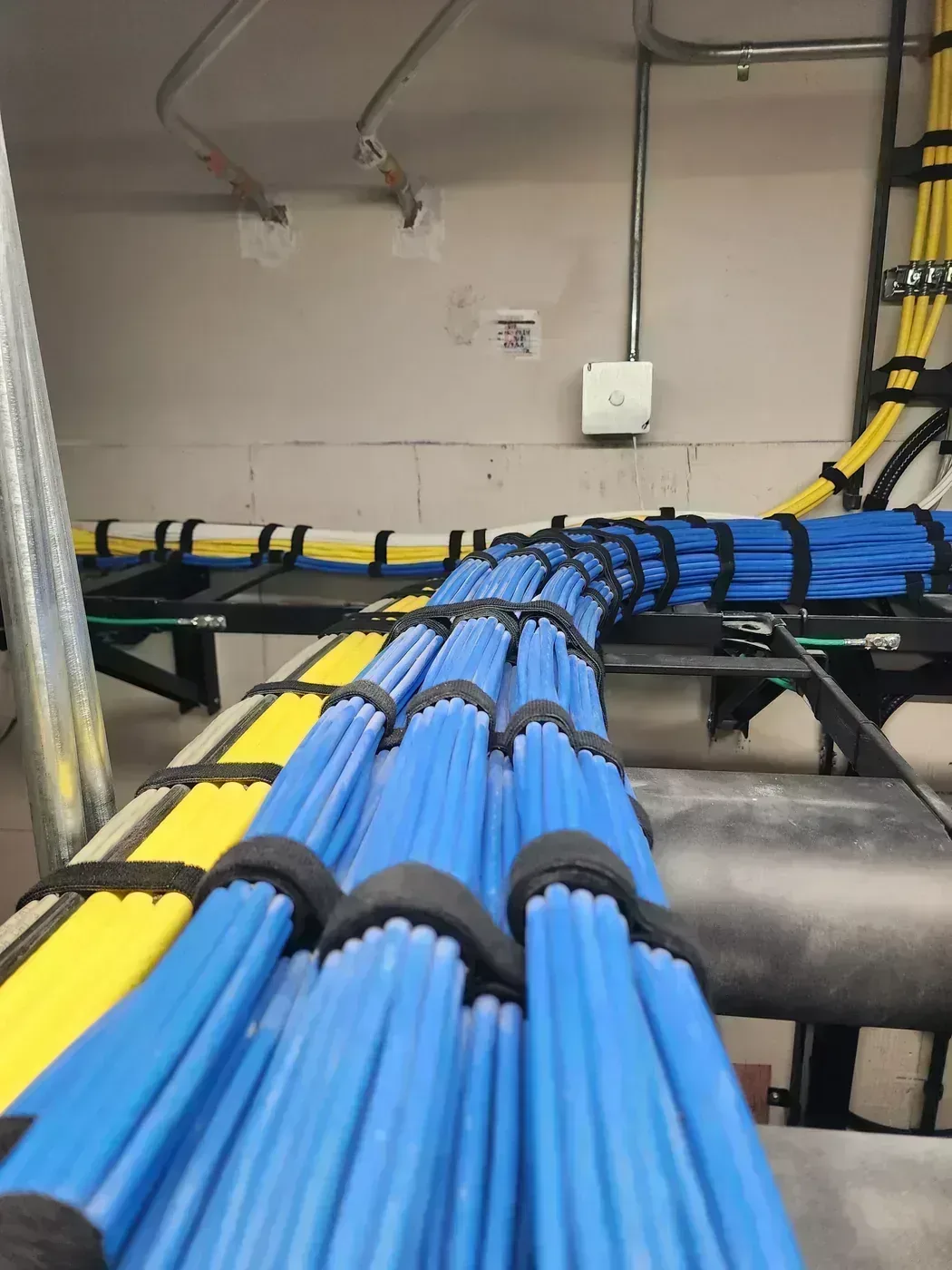 Peinado de Cables Cat6A - Proyecto Edificio de Oficinas Médicas 1 en St. Petersburg | Cableado Estructurado TSS USA